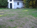 Back Lawn - Day 12